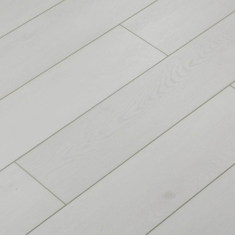 Radnor Collection